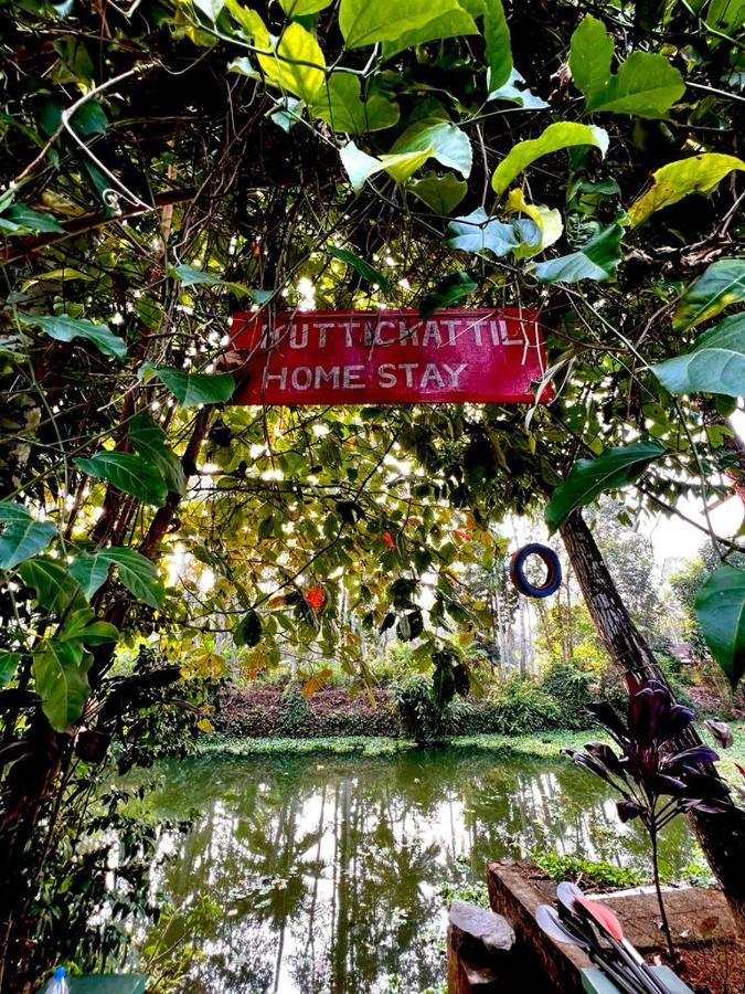 Kuttickattil Pool Home Stay Kumarakom Kültér fotó