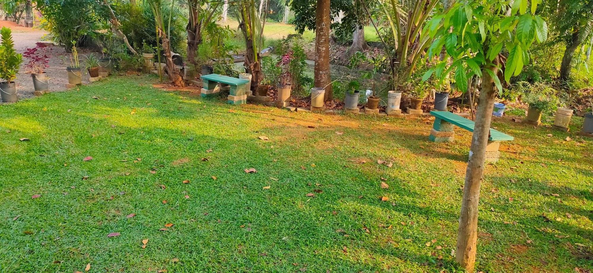 Kuttickattil Pool Home Stay Kumarakom Kültér fotó